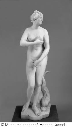 Venus Typus Medici Bild1