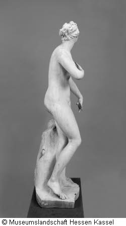 Venus Typus Medici Bild3